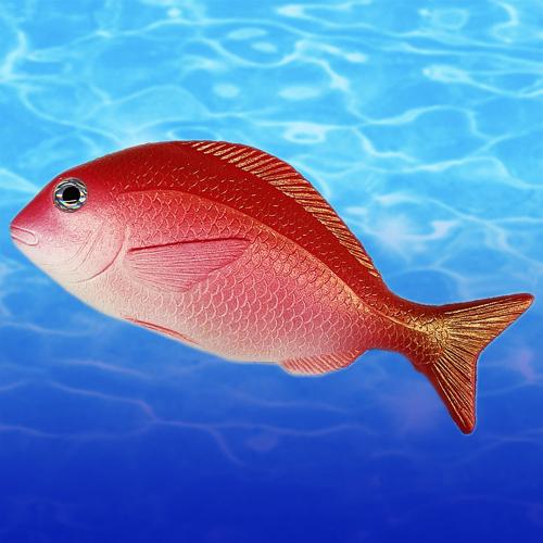 【A.たい】プニプニ鮮魚11