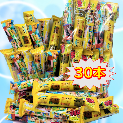 PUI PUIモルカー うまい棒