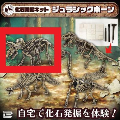 【A set】Fossil Excavation Kit Jurassic Bone