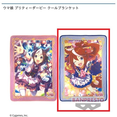 【B.トウカイテイオー】ウマ娘 プリティーダービー クールブランケット