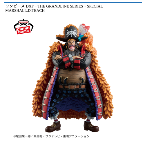 ワンピース DXF～THE GRANDLINE SERIES～SPECIAL MARSHALL.D.TEACH