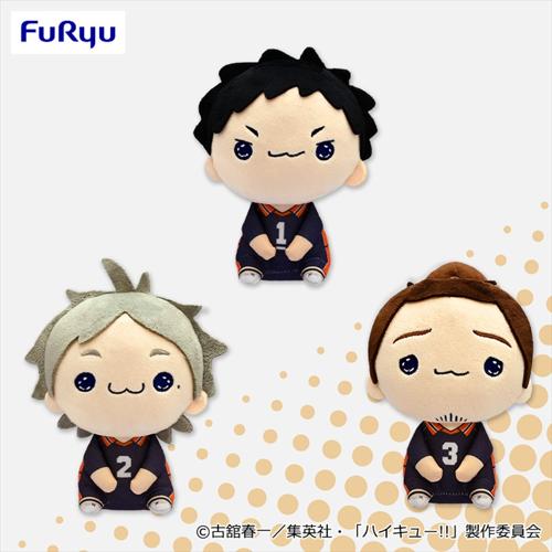 ハイキュー!! もちぴこぬいぐるみ5