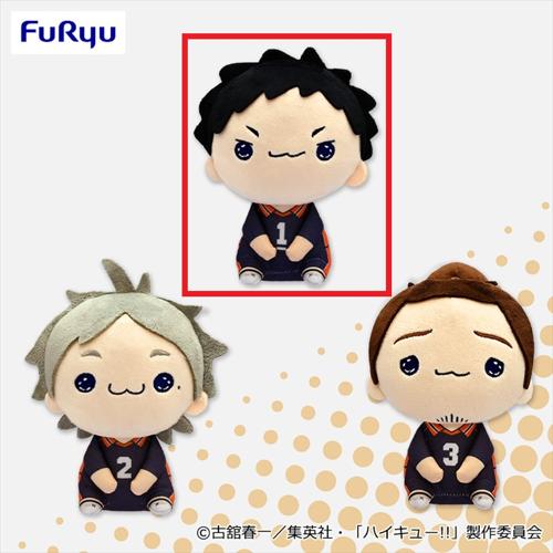 【澤村大地】ハイキュー!! もちぴこぬいぐるみ5