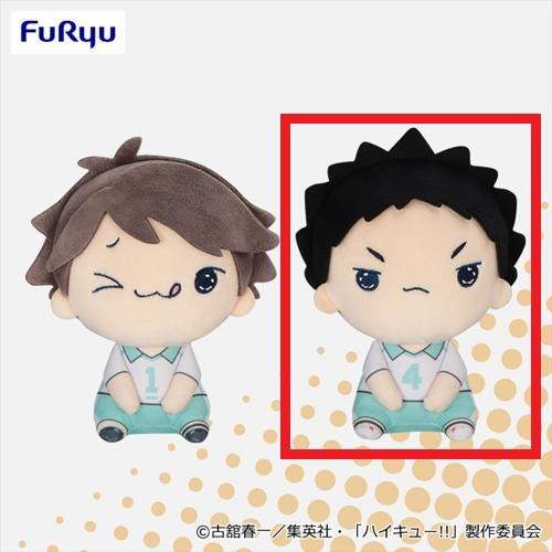 【岩泉一】ハイキュー！！ もちぴこぬいぐるみ6