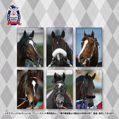 サラブレッドコレクション『ポストカード』（全6種・ランダム）