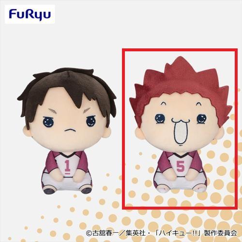 【天童覚】ハイキュー!!もちぴこぬいぐるみ8