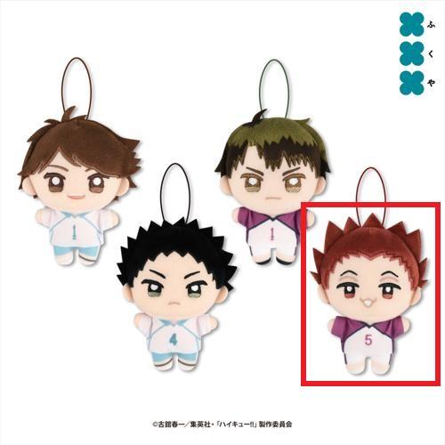 【天童覚】ハイキュー ぬいぷりけmini2