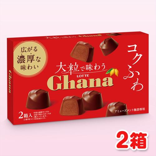 大粒で味わうガーナ2PBOX ※賞味期限