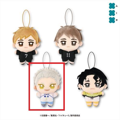 【星海光来】ハイキュー！！ ぬいぷりけmini4