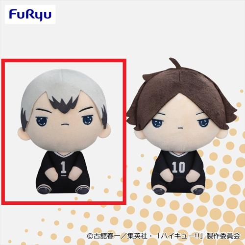 【北信介】ハイキュー!! もちぴこぬいぐるみ⑩