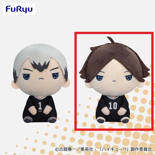 【角名倫太郎】ハイキュー!! もちぴこぬいぐるみ⑩