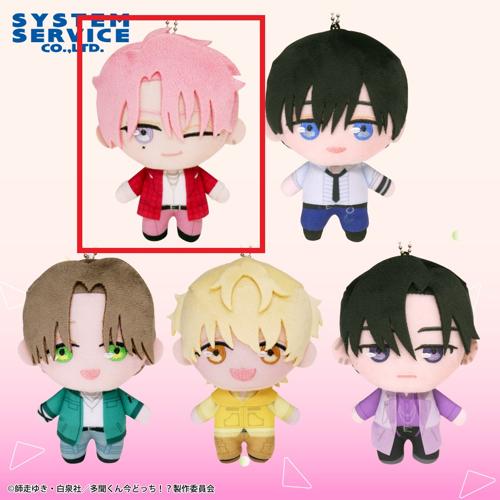 【福原多聞】多聞くん今どっち！？ ぷれちゃす F/ACE ぬいぐるみ