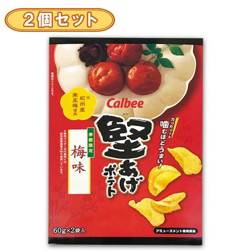 【2個セット】トレジャーBOX2　堅あげポテト＜梅味＞※賞味期限2026.9.30