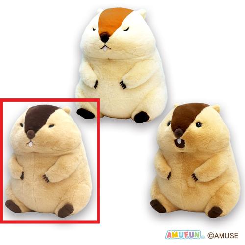 【はまもと】マーモットのもっとっとマモ座りウルトラBIG