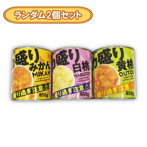 【ランダム2個セット】デカ盛り1缶 ※賞味期限2028.7.20