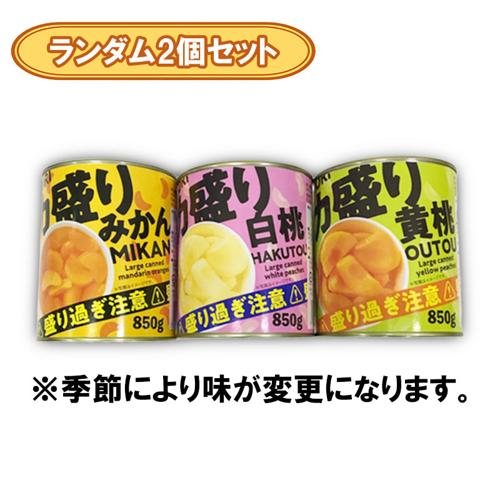 【ランダム2個セット】デカ盛り１缶 ※賞味期限2028.7.20