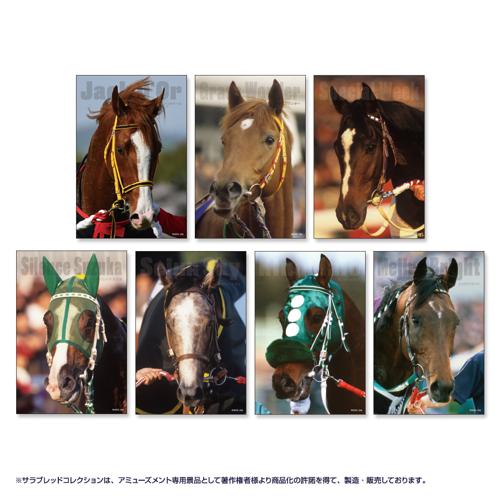 サラブレッドコレクション『ポストカード(全7種・ランダム)』