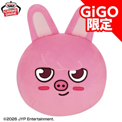 【DWAEKKI】SKZOO ドーム型BIGぬいぐるみ~GiGO限定~