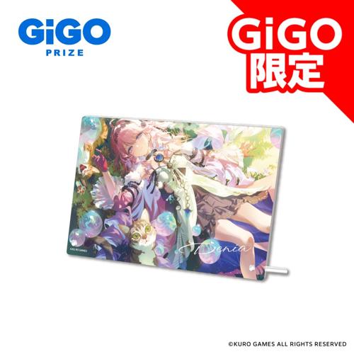 【ダーニャ】鳴潮×GiGO アクリルボード～GiGO限定～